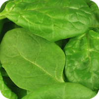 Jam-packed with nutrients, spinach is rich in carotenoids and folic acids that provide lasting health benefits. 